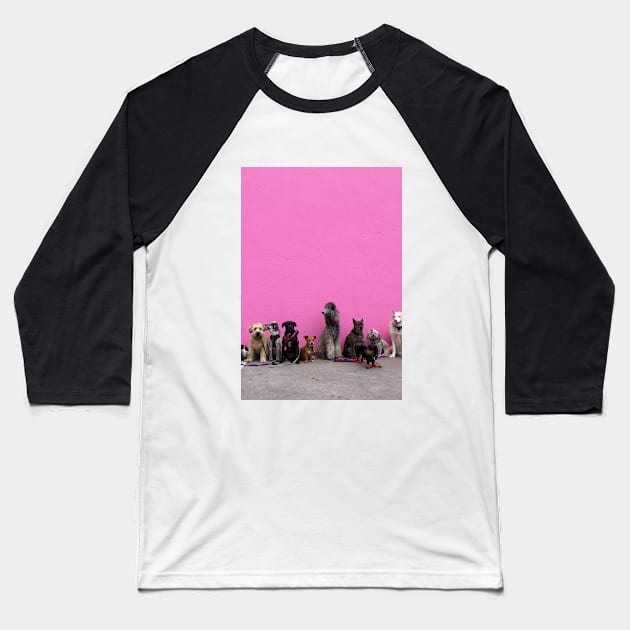 Funny photograph of dogs in a line in front of pink wall in Los Angeles Baseball T-Shirt by keeplooping